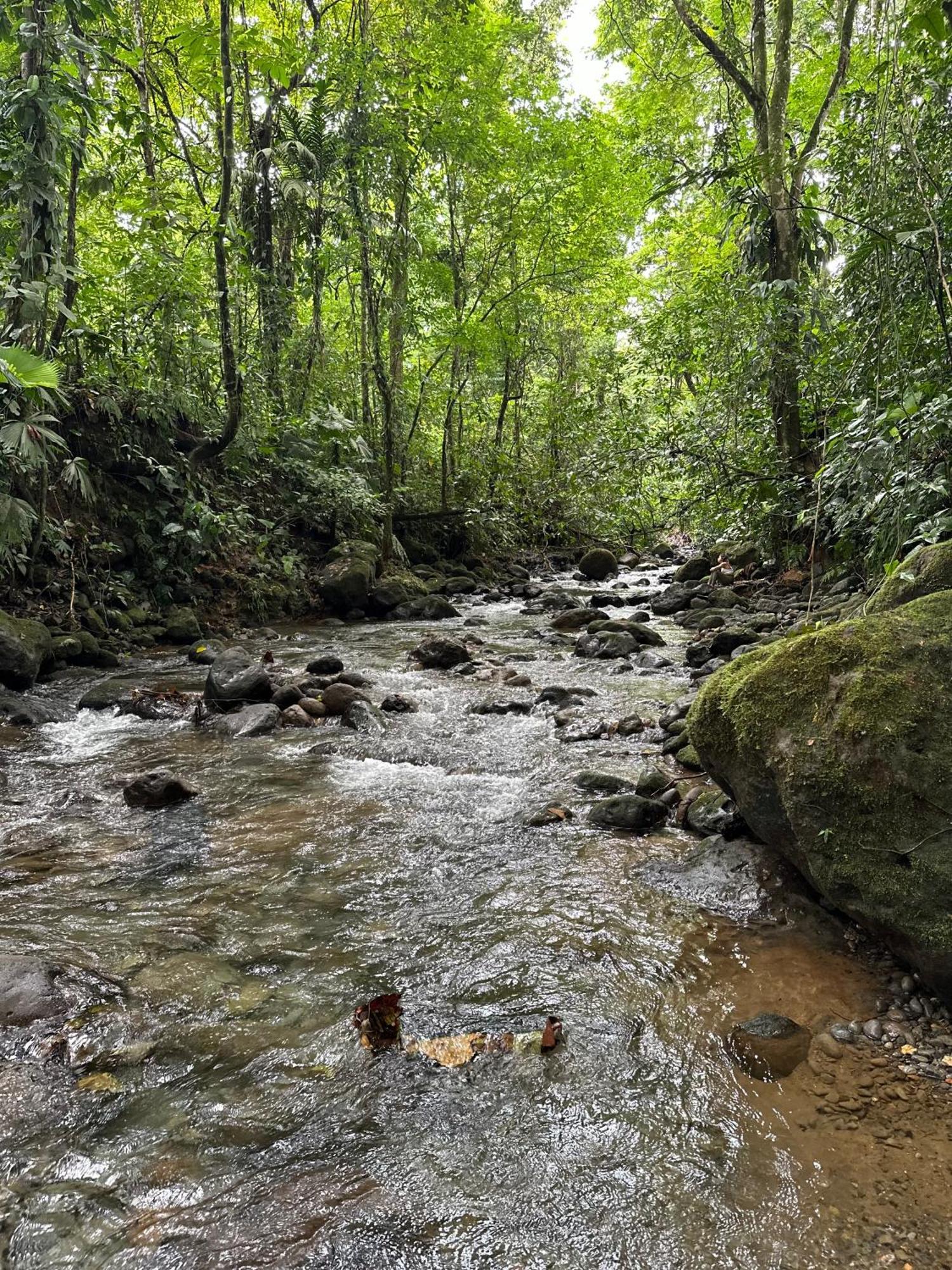 Villas Sapiens Arenal La Fortuna Ngoại thất bức ảnh